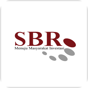 SBR013T2 logo